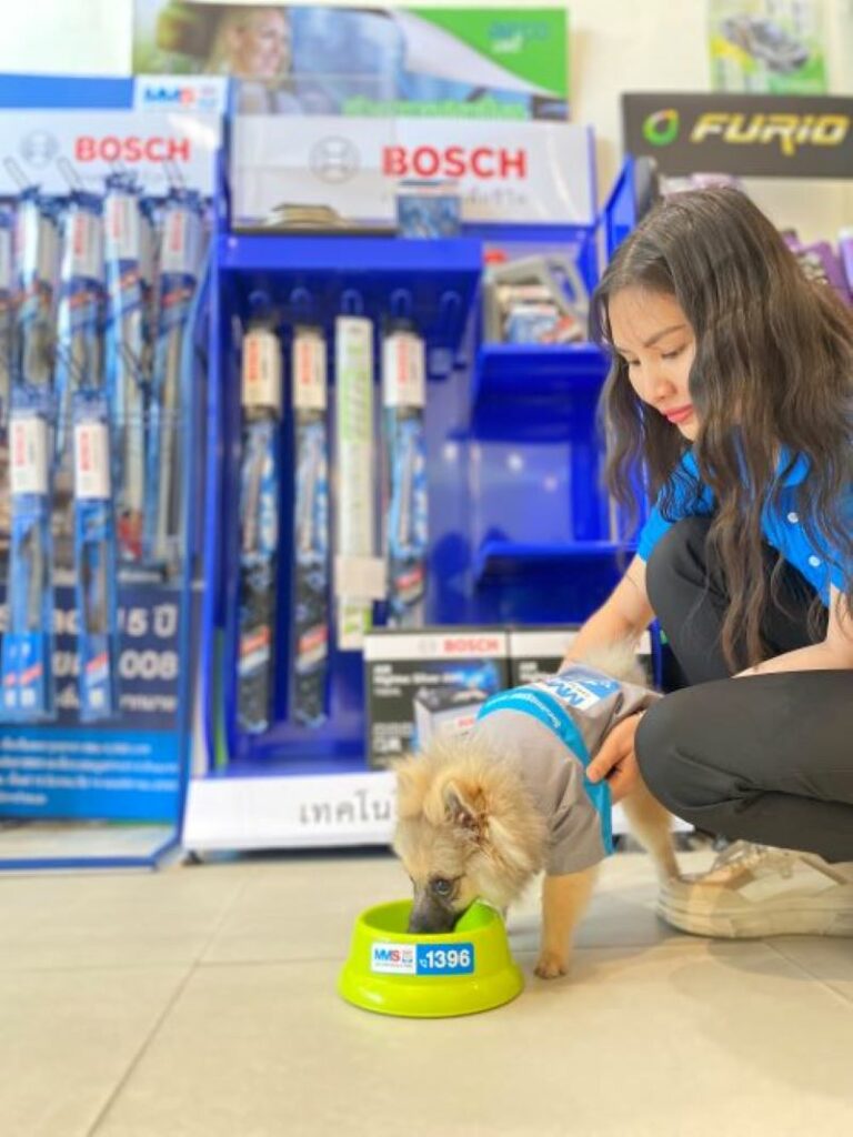 MMS ศูนย์บริการฯ แห่งแรกในรูปแบบ Pet Friendly Service-2