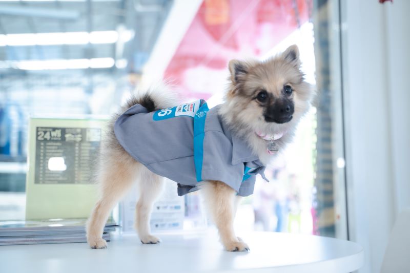 MMS ศูนย์บริการฯ แห่งแรกในรูปแบบ Pet Friendly Service-5